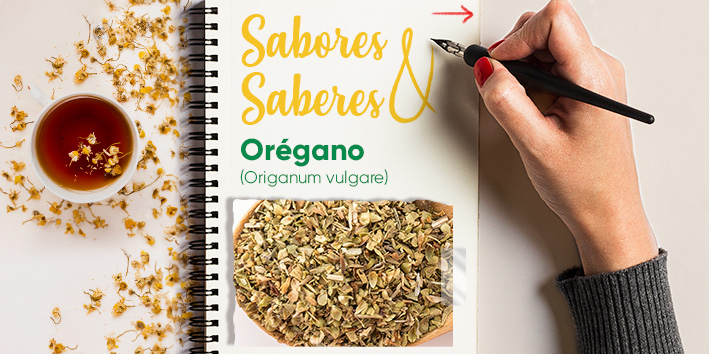 Sabores e saberes - Oregano 1